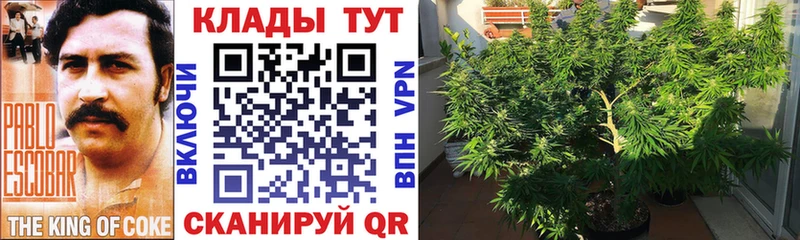 Как найти закладки Сычёвка Бошки Шишки Кодеин Alpha-PVP ГАШИШ КОКАИН